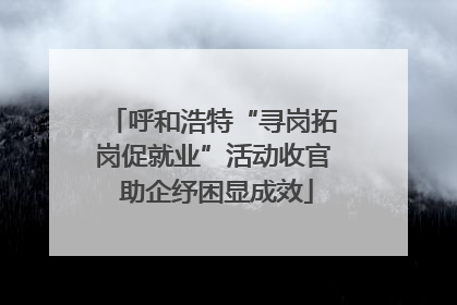 呼和浩特“寻岗拓岗促就业”活动收官 助企纾困显成效